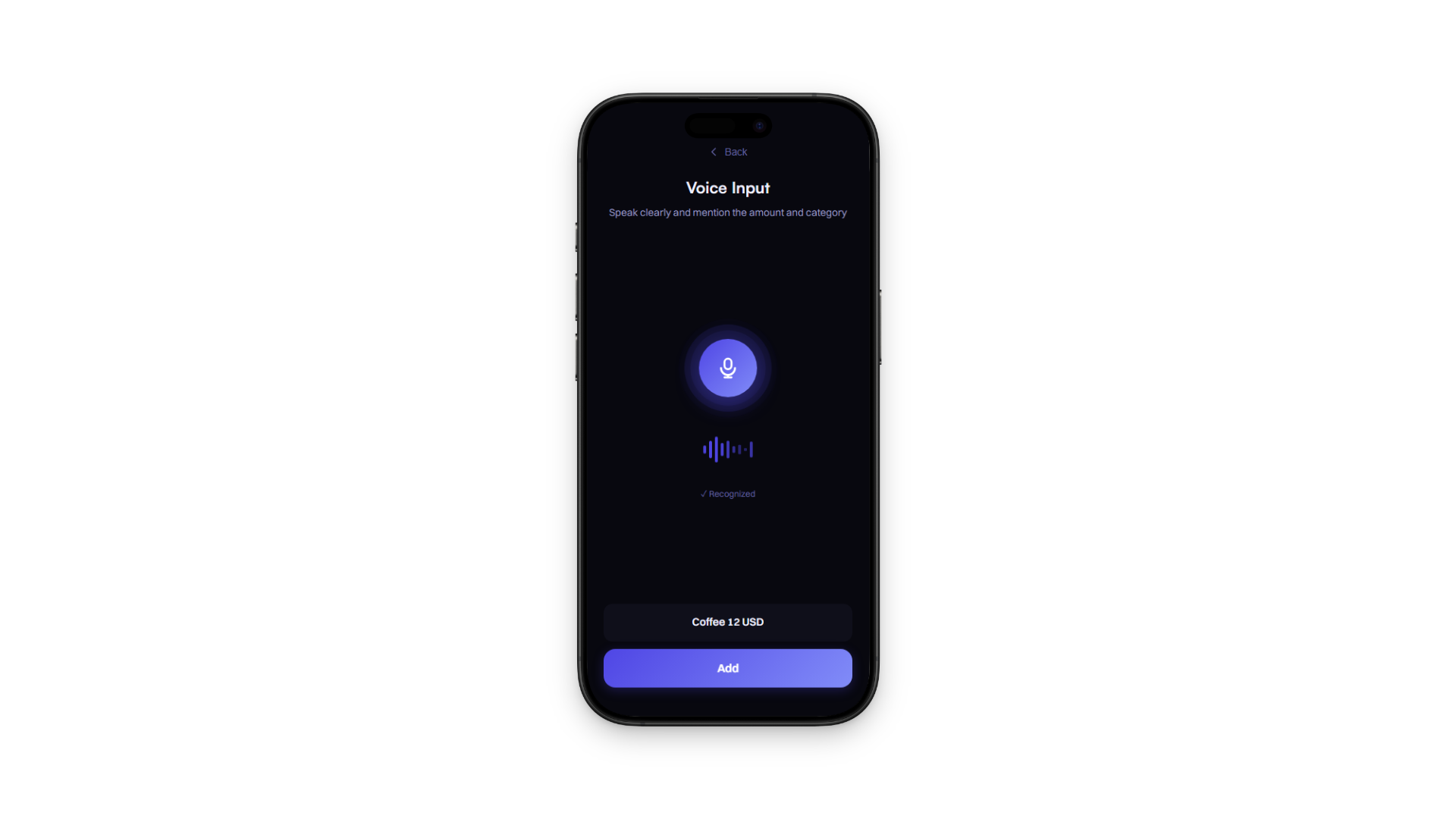 Voice Input on iPhone